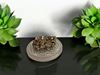 Picture of Wealth Attraction Duo: Pyrite and Selenite Prosperity Kit